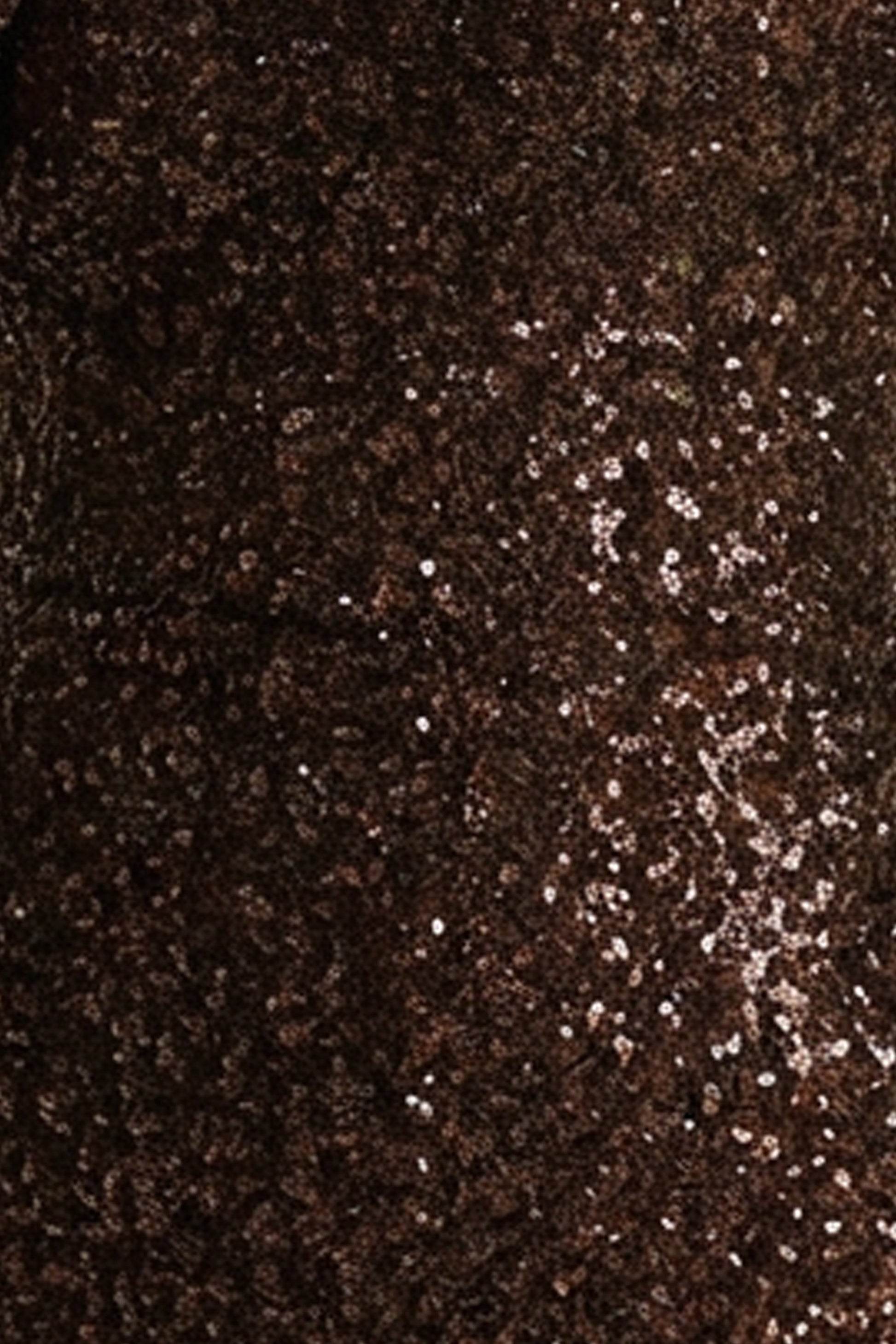 Galaxy | Brown Sequin Turtle-Neck Long-Sleeve Maxi Dress