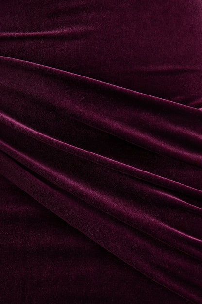 Cambria | Plum Velvet High-Neck Maxi Dress With Draped-Detailing