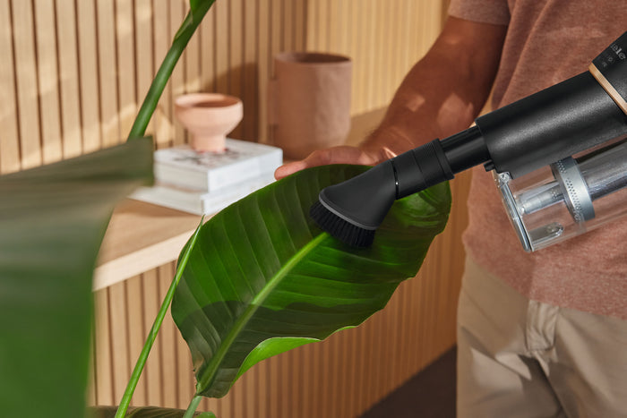 https://media.miele.com/images/2000020/200002072/20000207269.png